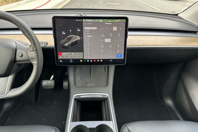 Tesla Model Y 2021 car image #15