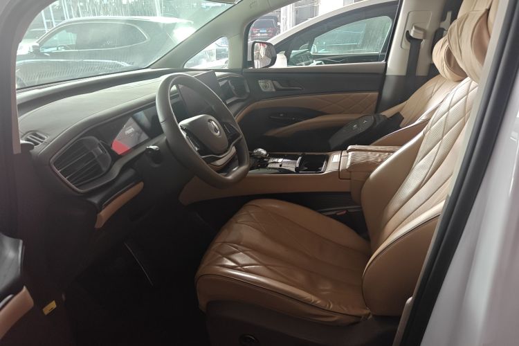 Denza D9 2023 immagine di auto #15