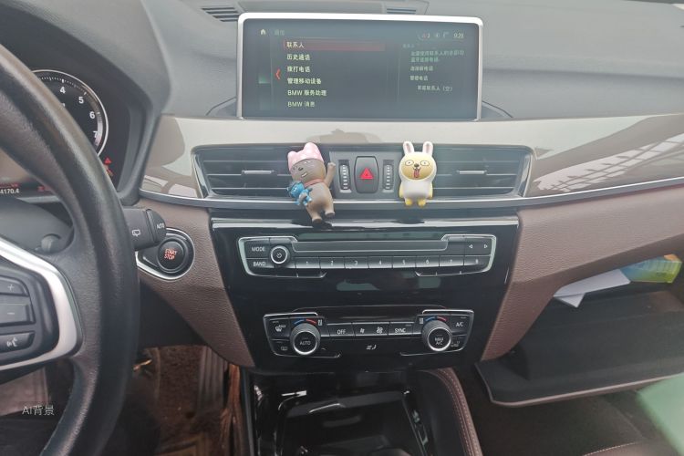 BMW X1 New Energy 2018 car image #15