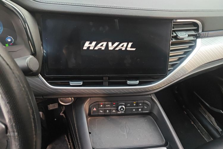 Haval F7x 2021 immagine di auto #15