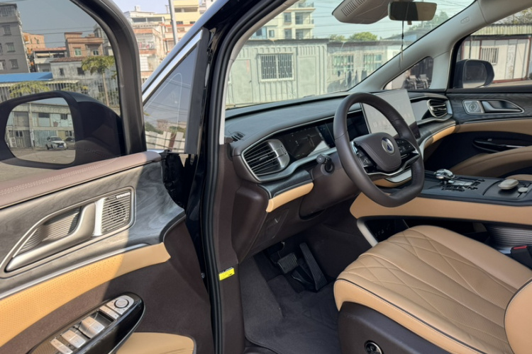 Denza D9 2025 car image #15