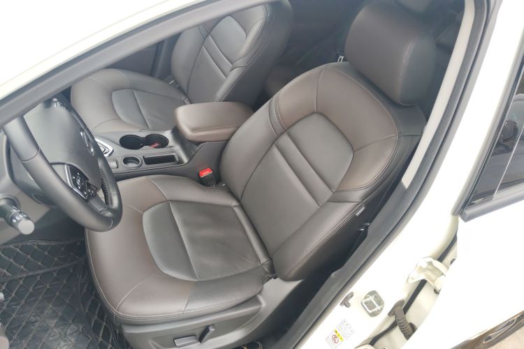 GAC Qizhi PHEV 2019 car image #15