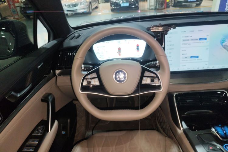 BYD Tang New Energy 2025 car image #15