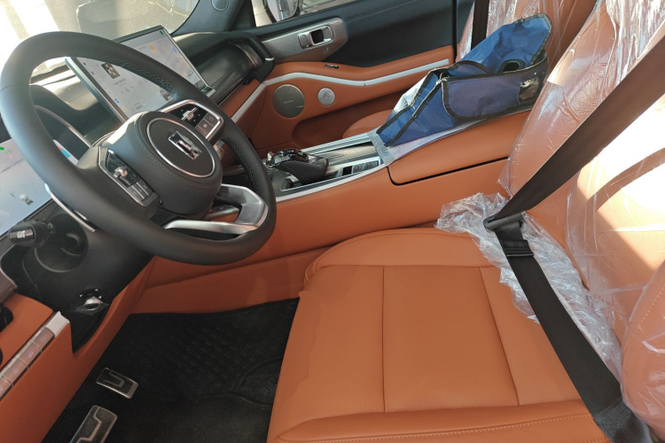 Tank 700 New Energy 2025 #15 Tank 700 New Energy 2025 immagine di auto #15