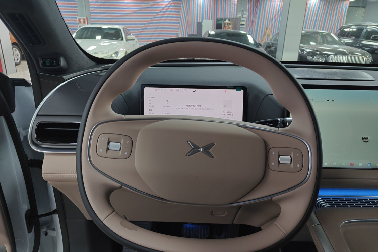 Xpeng 2025 #15 Xpeng 2025 car image #15