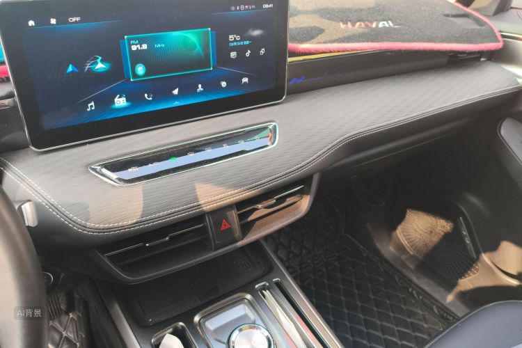 Haval Jolion 2021 car image #15