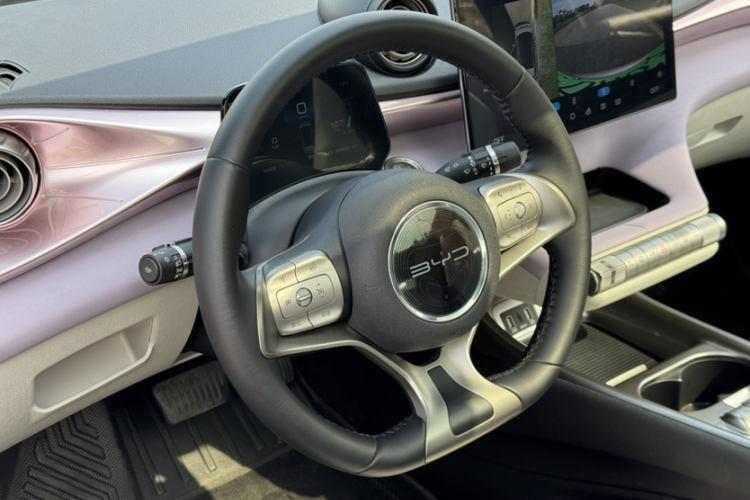 BYD Dolphin 2023 car image #15