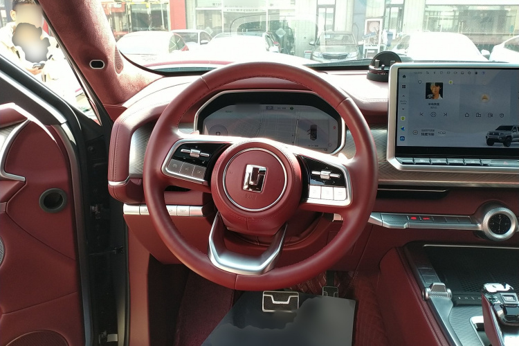 Tank 700 New Energy 2024 car image #15