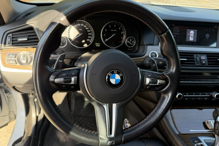 BMW 5 Series 2014 car image #15