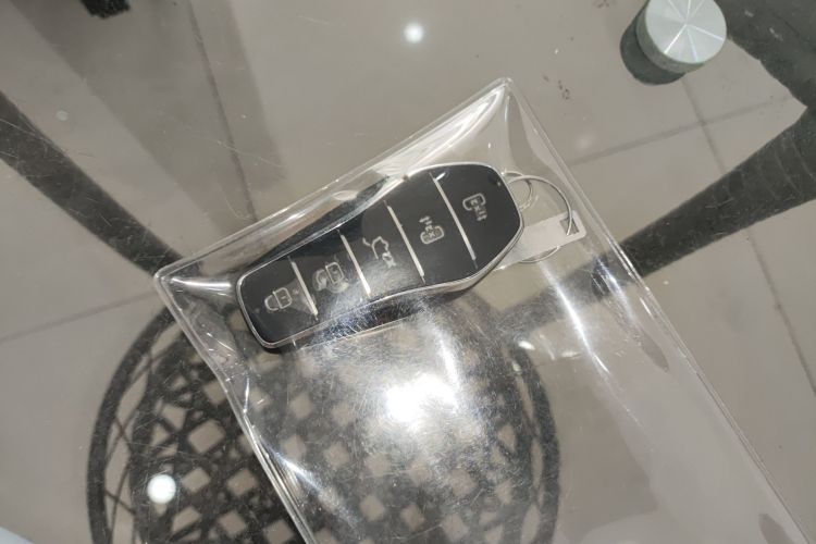 BYD Xia 2024 imagen de coche #15