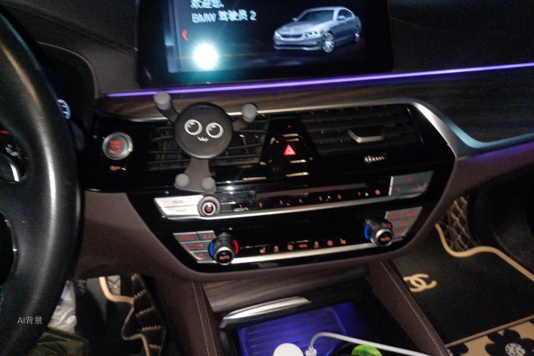 BMW 5 Series 2019 immagine di auto #15
