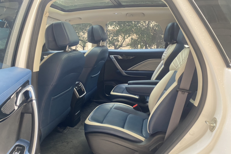 睿蓝汽车 枫叶80v PRO 2023 汽车图片 #15