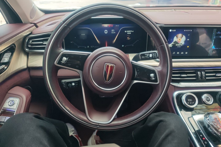 HongQi H9 2021 car image #15