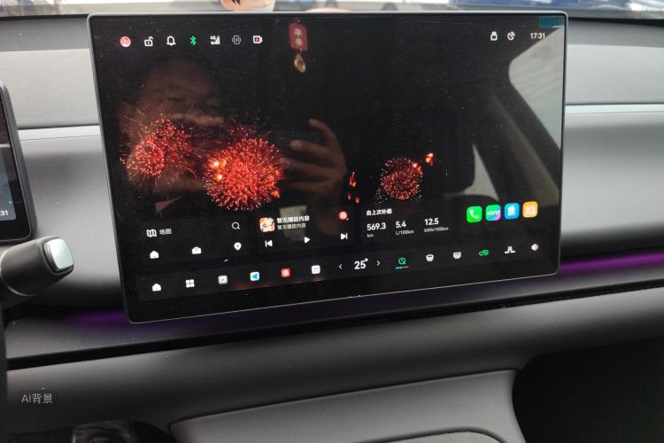 零跑汽车 零跑C10 2024 汽车图片 #15