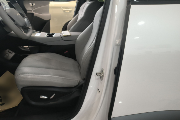 BYD Sea Lion 06 New Energy 2025 car image #15