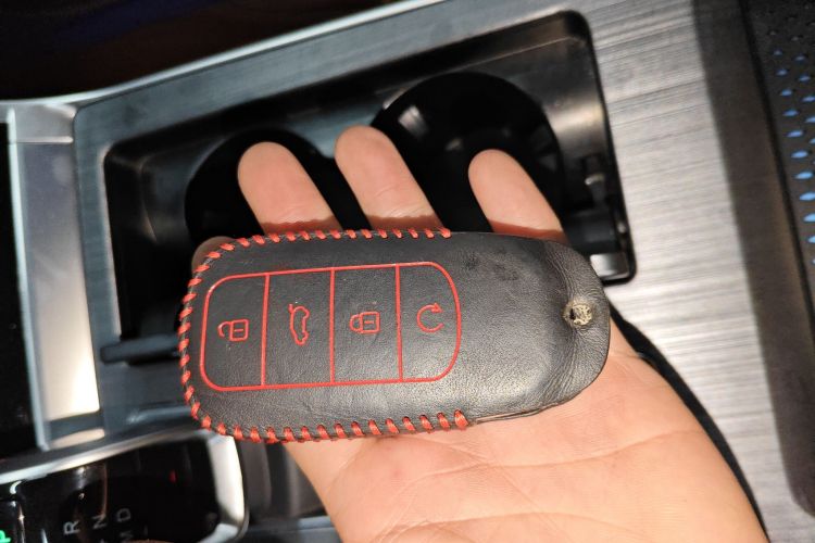 Chery Tiggo 7 Plus 2021 image de voiture #15