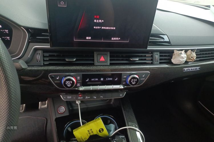 奥迪 奥迪S5 2023 汽车图片 #15