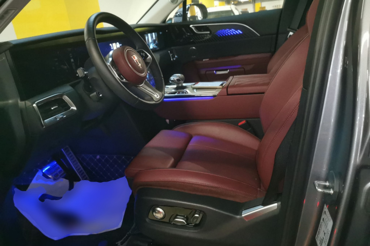 HongQi E-HS9 2023 car image #15