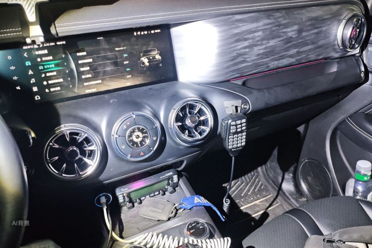 Tank 300 2021 immagine di auto #15