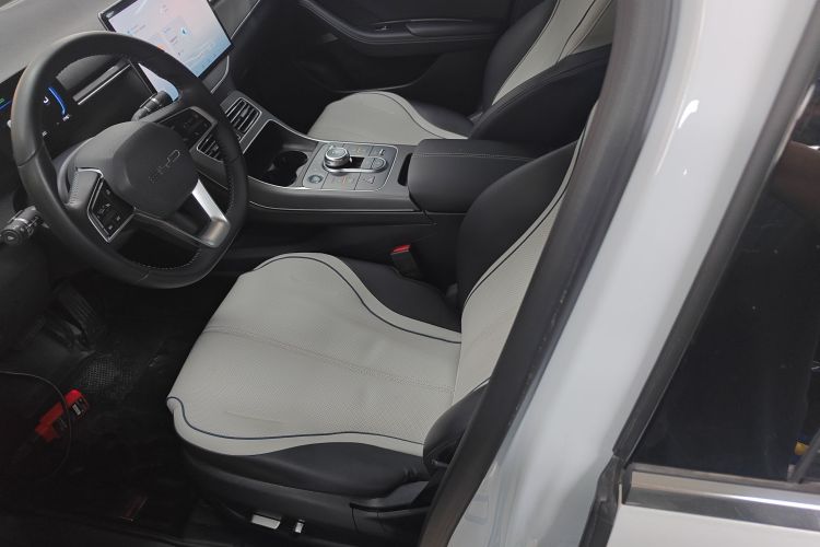 BYD Destroyer 05 2023 imagen de coche #15