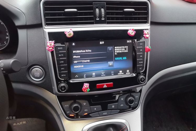 哈弗 哈弗M6 2020 汽车图片 #15