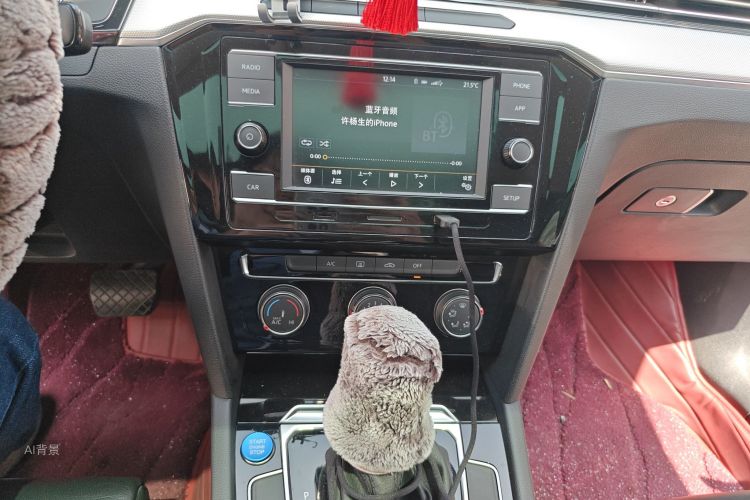 Volkswagen Magotan 2019 immagine di auto #15