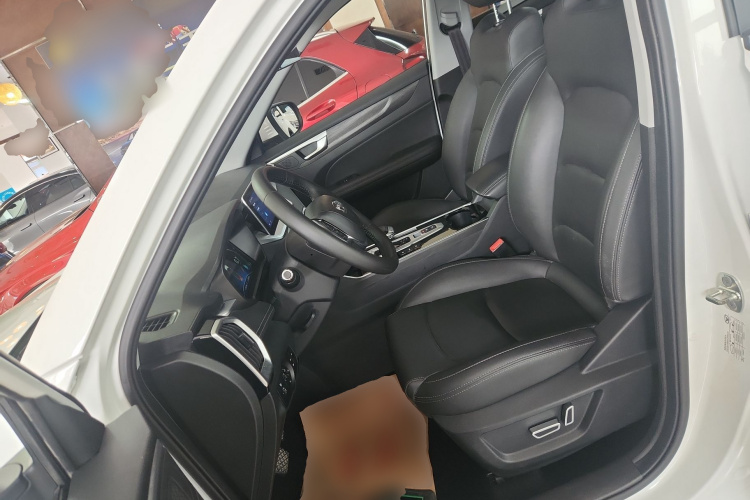 Showjet Pro 2021 car image #15