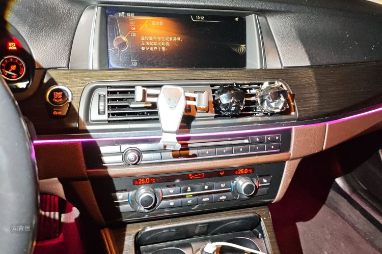 BMW 5 Series 2015 car image #15