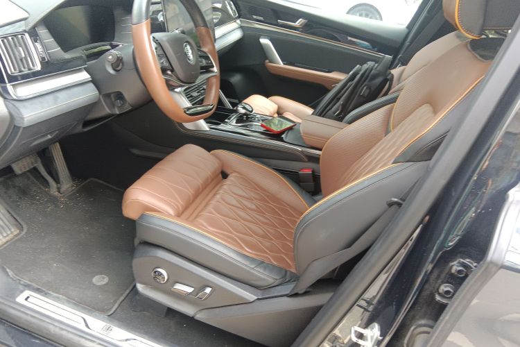 BYD Tang New Energy 2023 car image #15