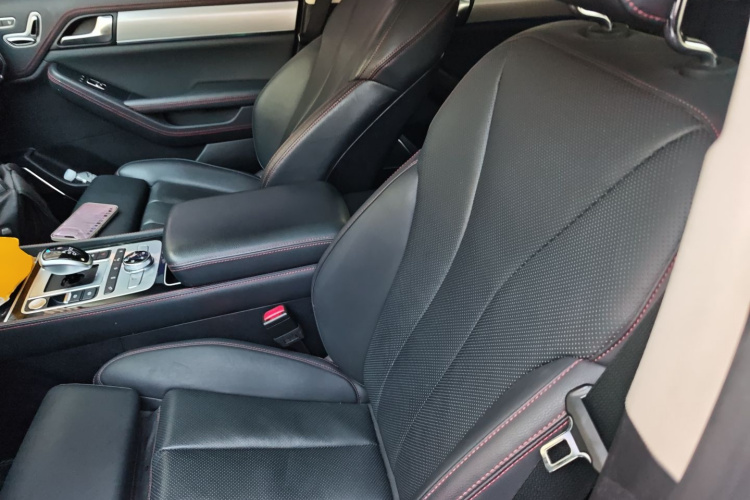 BYD Tang New Energy 2019 car image #15