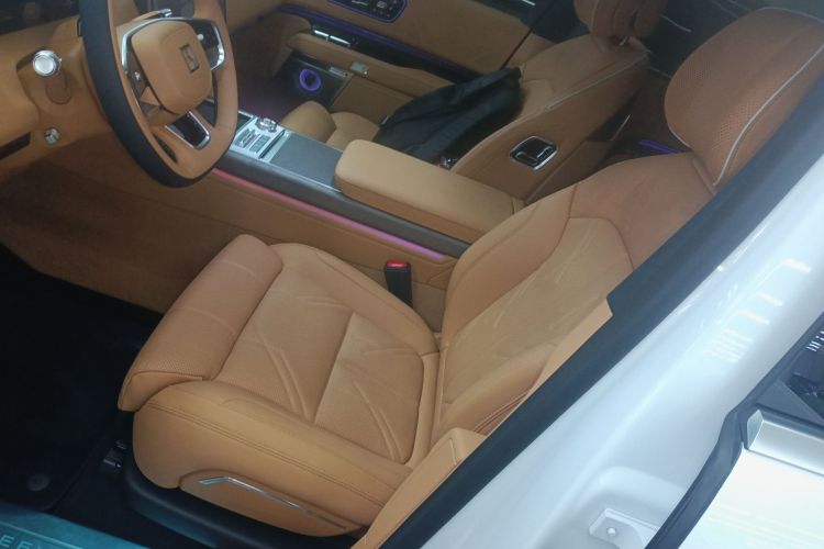 极氪 极氪9X 2025 汽车图片 #15