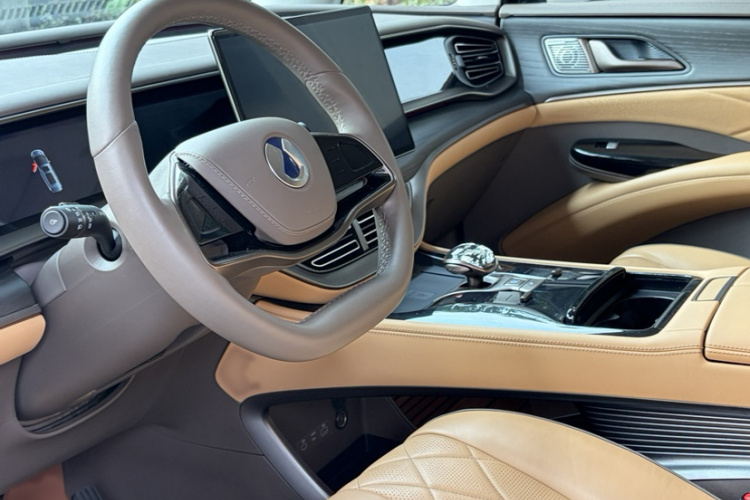 Denza D9 2023 imagen de coche #15