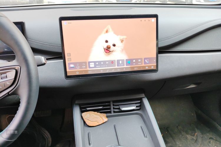 BYD Seal 06 DM-i 2025 immagine di auto #15