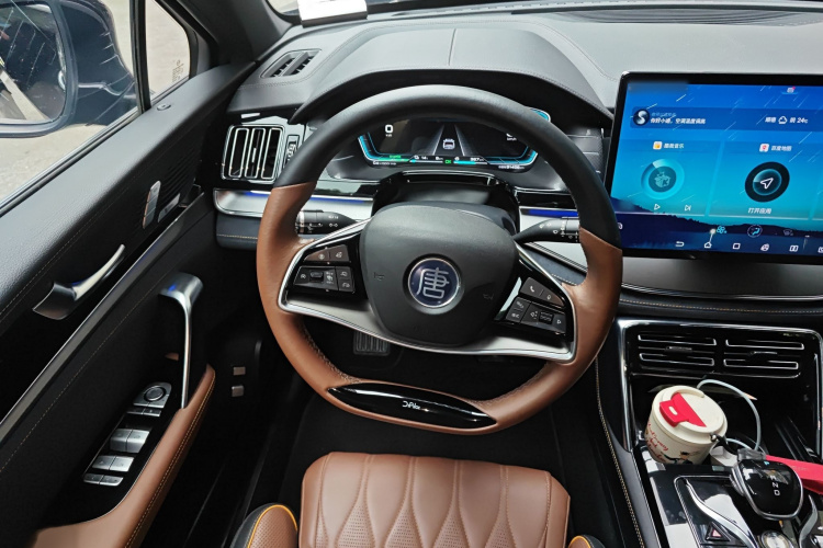 BYD Tang New Energy 2021 car image #15