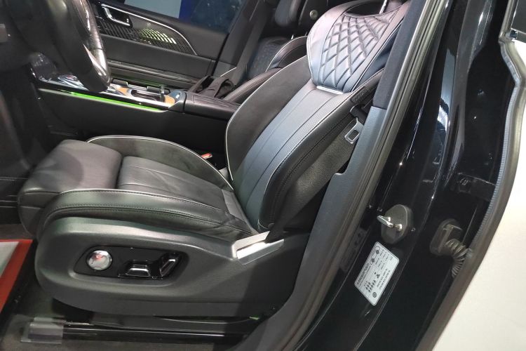 HongQi E-HS9 2023 immagine di auto #15