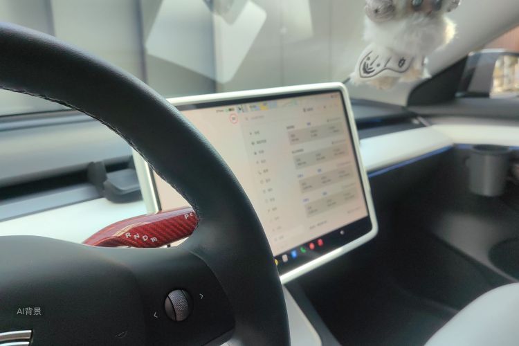 Tesla Model 3 2022 immagine di auto #15