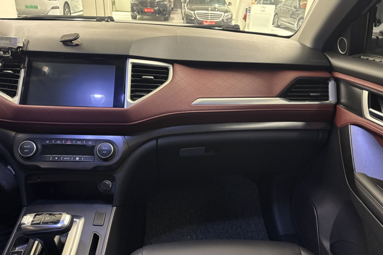 Haval H6 Coupe 2020 imagen de coche #15