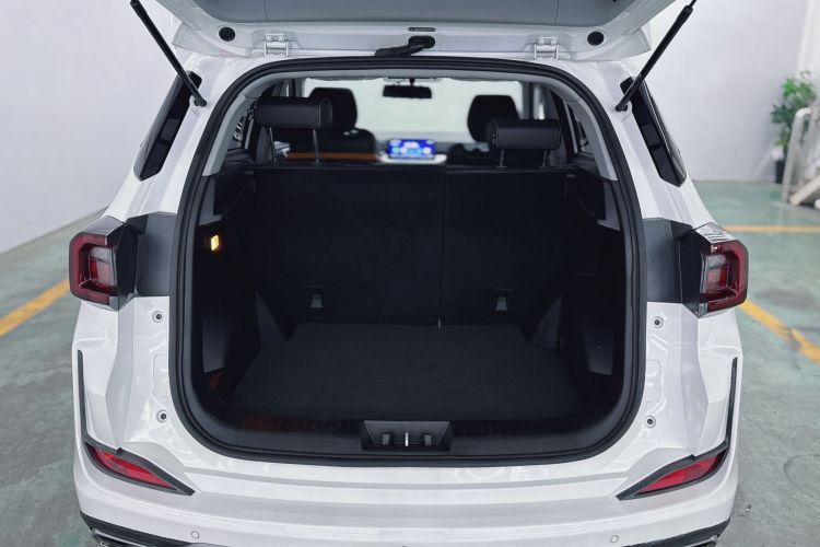 Showjet Pro 2021 car image #15