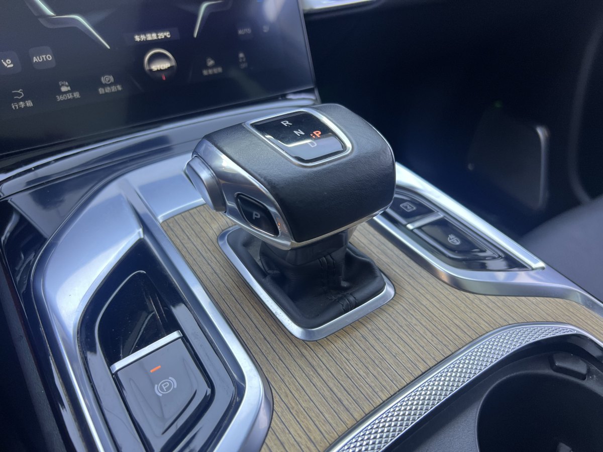 HongQi E-HS9 2022 car image #15