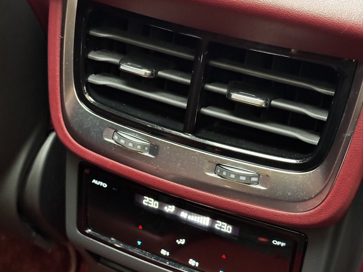 HongQi E-HS9 2021 #15 HongQi E-HS9 2021 immagine di auto #15