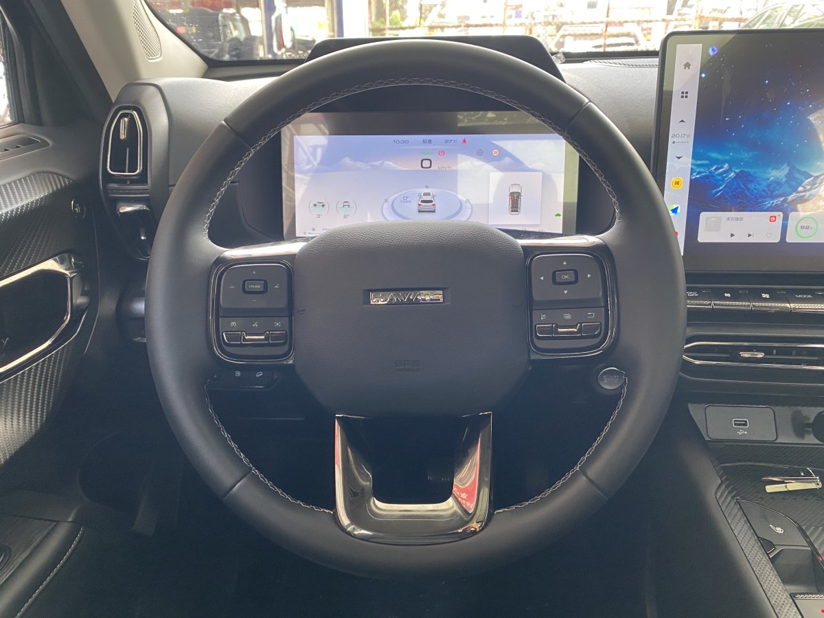 Haval X Dog 2 New Energy 2024 car image #15