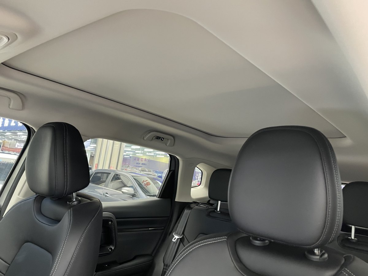 Haval X Dog 2 New Energy 2024 car image #15