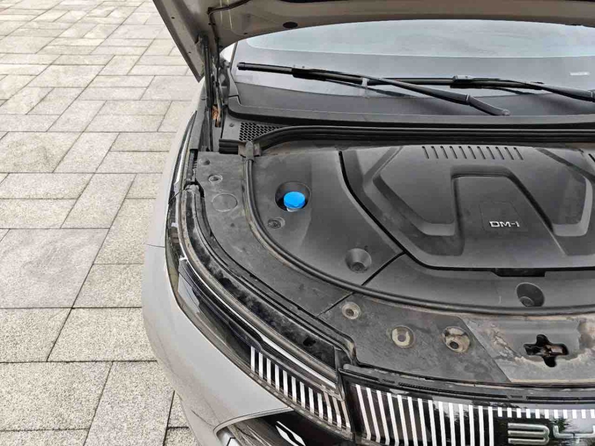 BYD Frigate 07 2023 #15 BYD Frigate 07 2023 immagine di auto #15