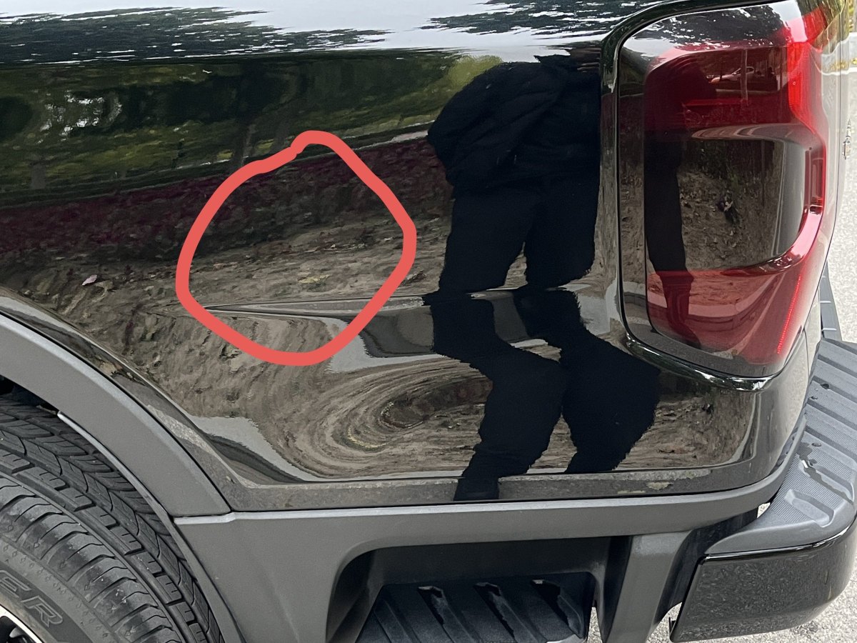 Ford Ranger (Imported) 2023 #15 Ford Ranger (Imported) 2023 car image #15