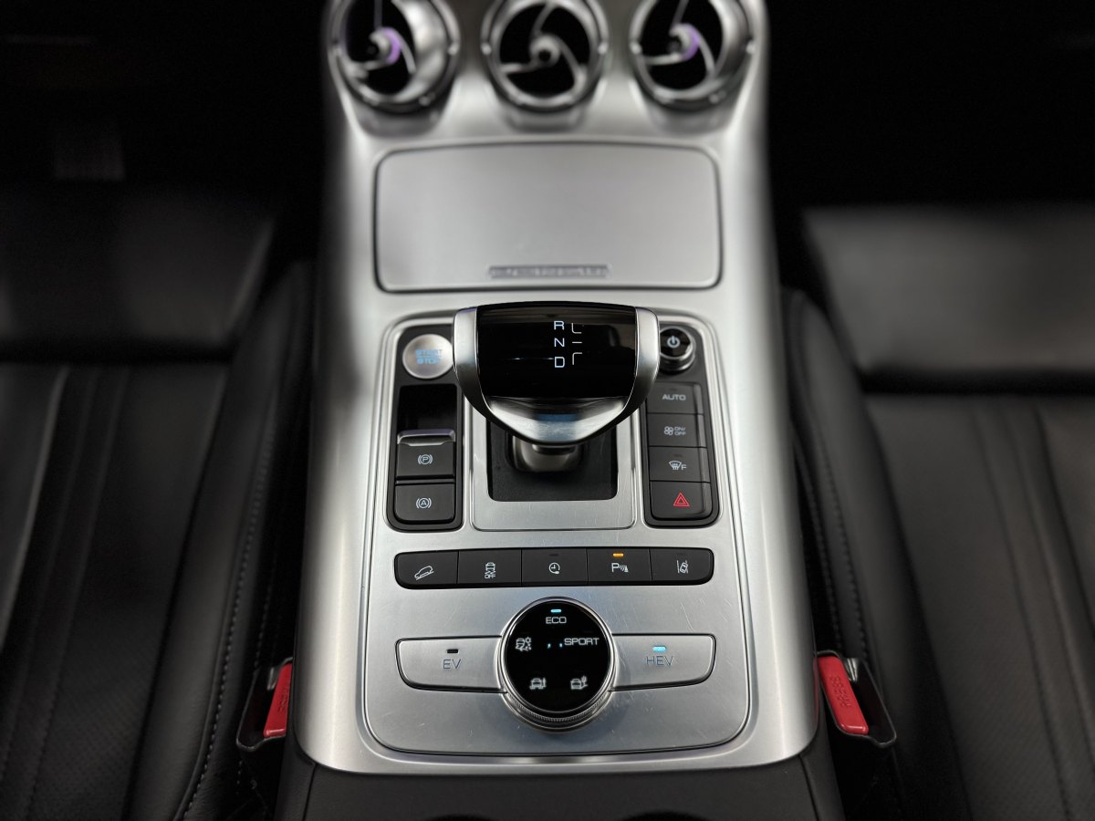 Denza X 2020 #15 Denza X 2020 car image #15