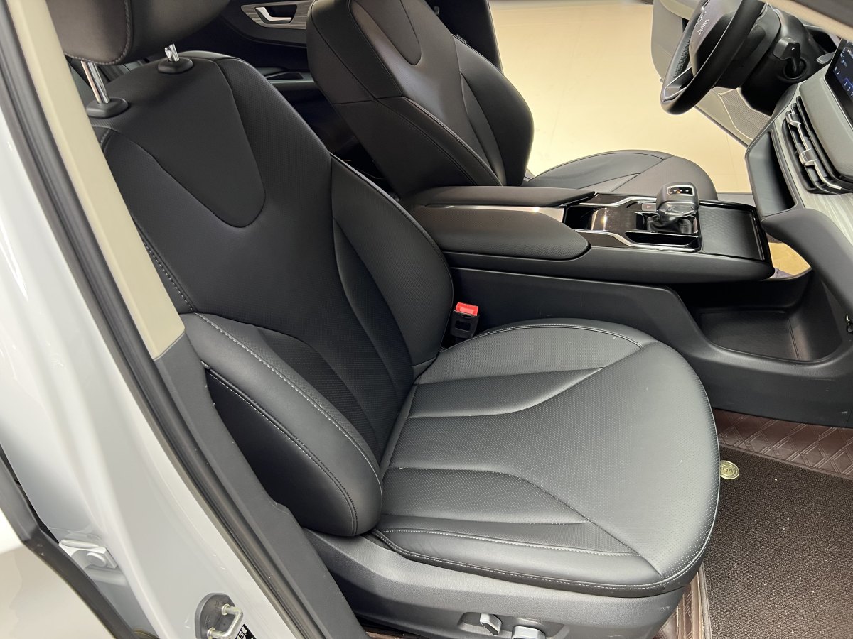 HongQi E-QM5 2024 #15 HongQi E-QM5 2024 car image #15