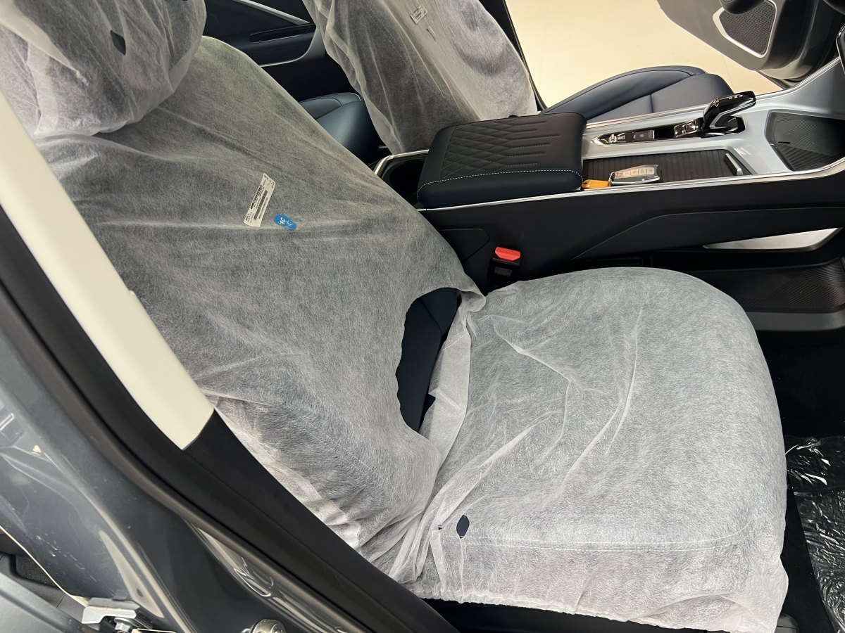 GEELY JiaJi 2025 car image #15