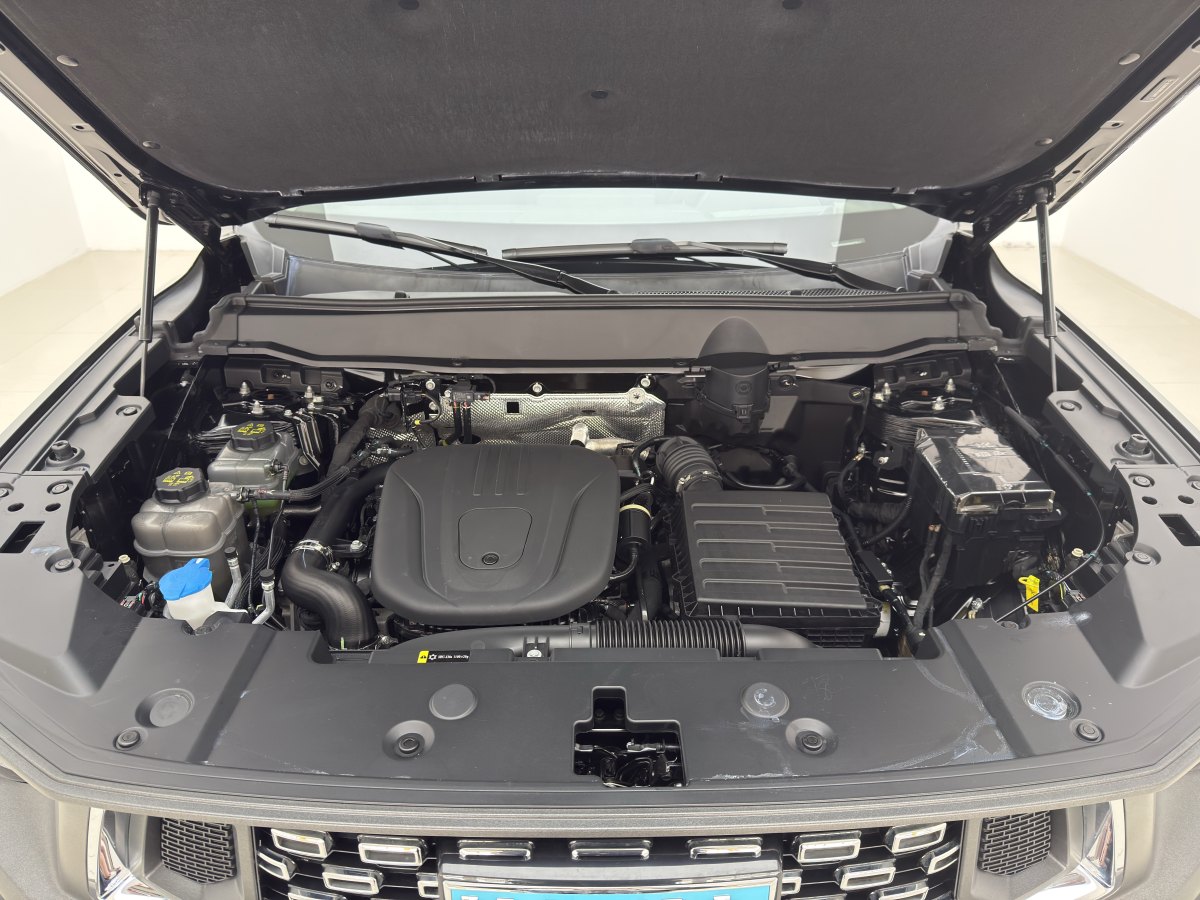 Haval Dargo 2 2024 car image #15