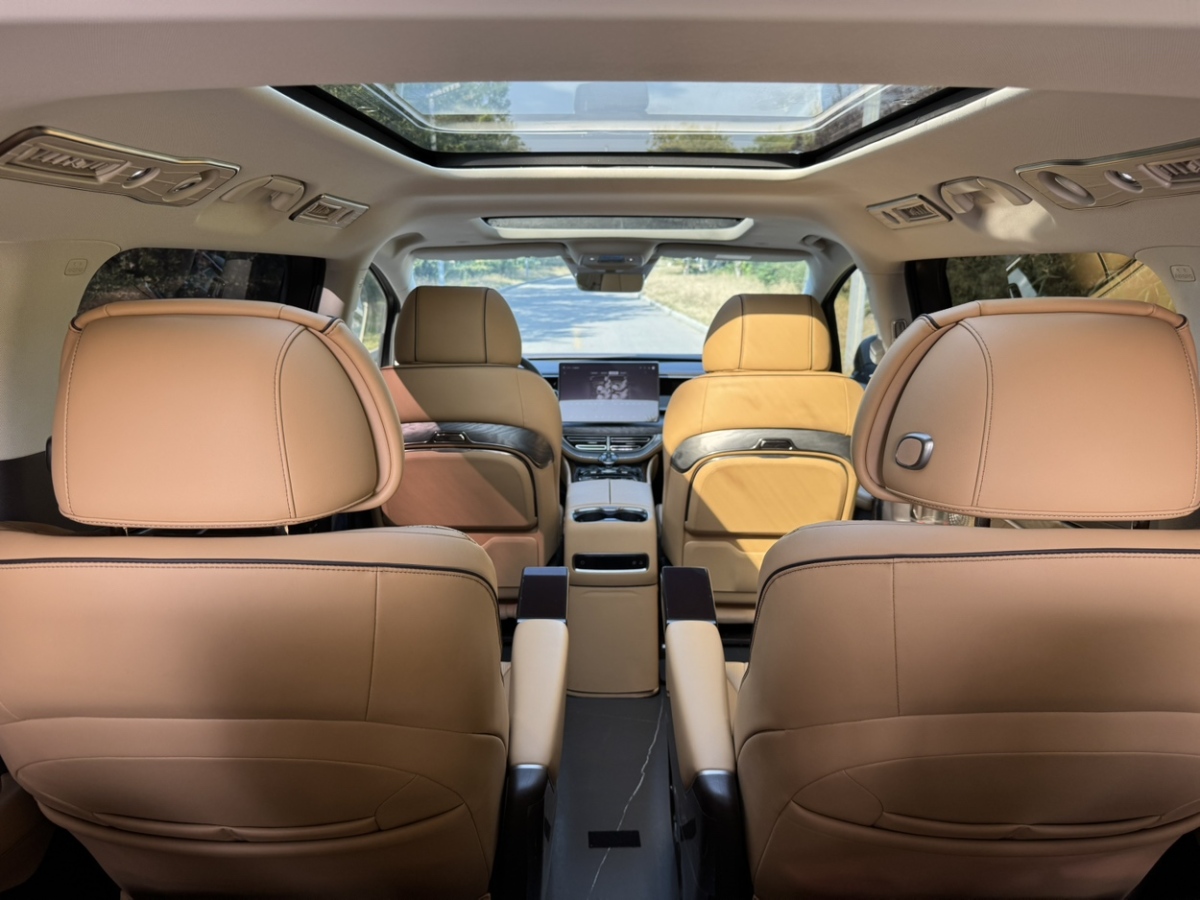 腾势 腾势D9 2024 汽车图片 #15