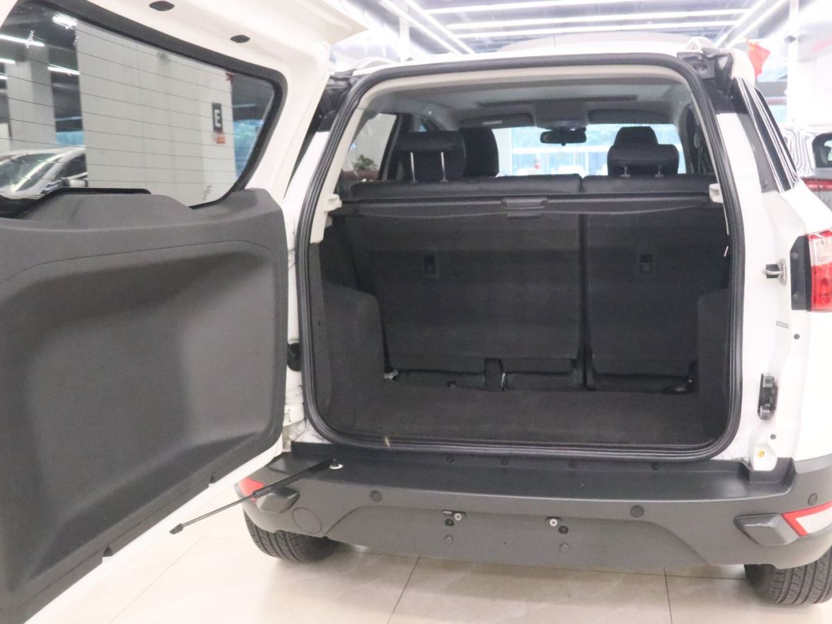 Ford EcoSport 2014 car image #15